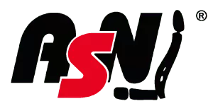 asn logo.png Behindertengerechte Fahrschulen und Autoumbau